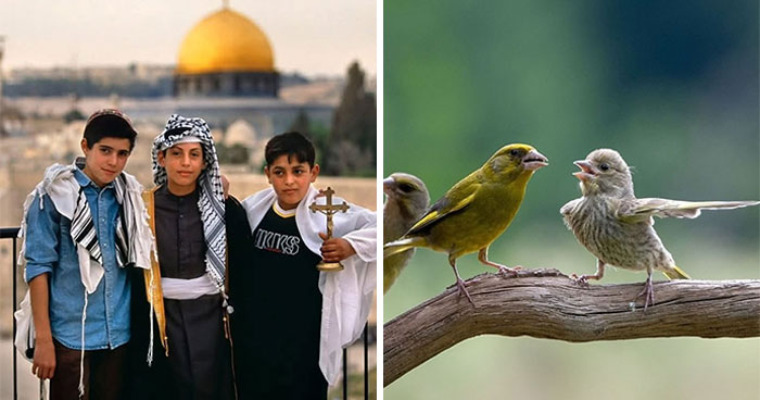 30 Of The Most Interesting Images Picked By “The Decisive Moments Magazine” (New Pics)