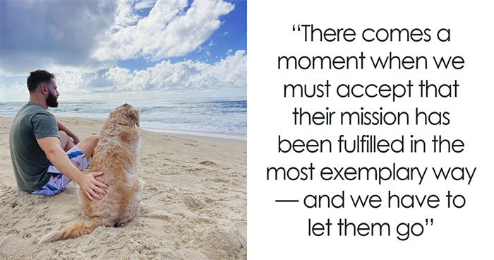 This Brave Golden Retriever Touched Thousands Of Lives Before Passing Away