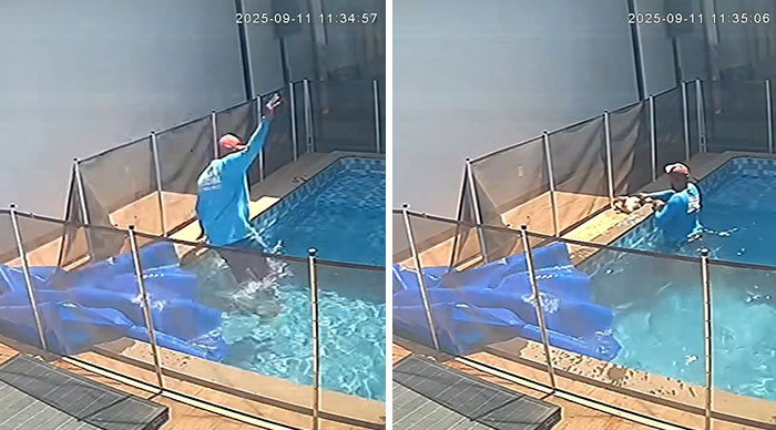 Man Performs CPR On Blind Dog After Pool Accident, And The Rescue Might Melt Your Heart