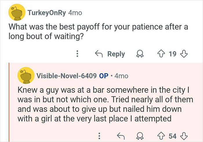 Reddit conversation showing a private investigator sharing insights on catching cheaters after persistent efforts.