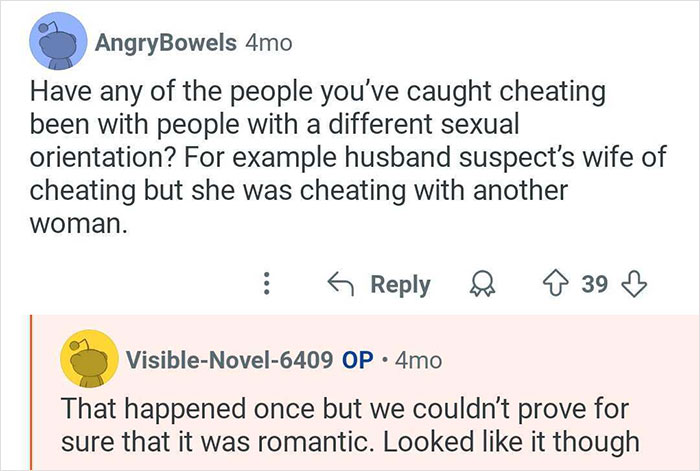 Screenshot of an online conversation discussing a private investigator’s experiences catching cheaters and romantic suspicions.