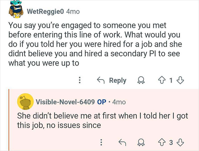 Conversation between users discussing a private investigator's experience with trust and cheating cases.