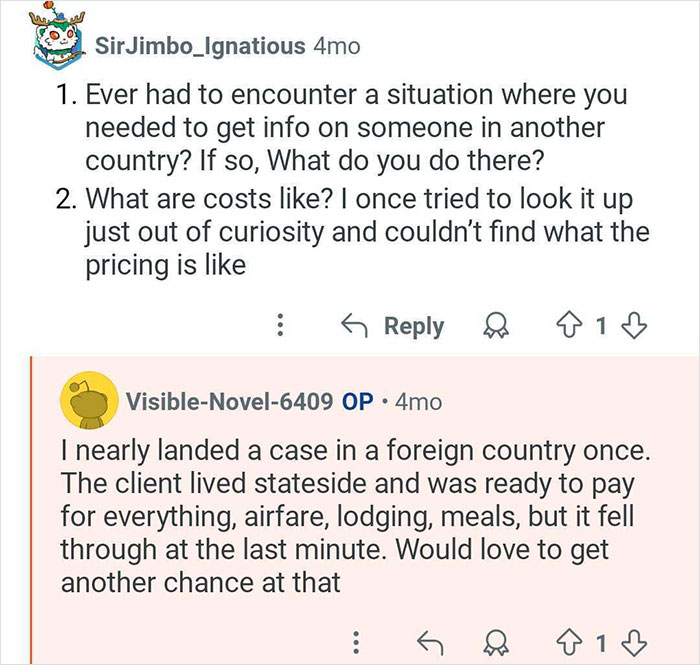 Screenshot of an online conversation discussing costs and experiences of private investigators who catch cheaters.