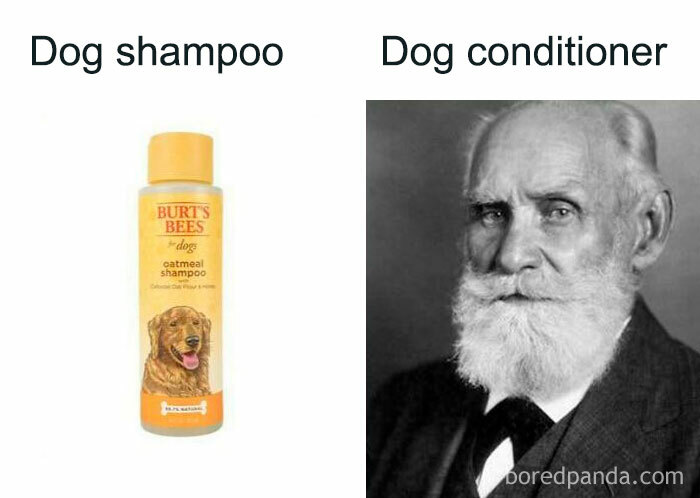 Bottle of dog shampoo next to a black and white photo of an older man with a white beard in a psychology meme.