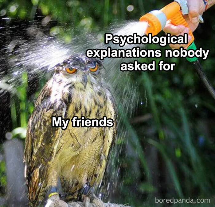 Owl labeled my friends getting sprayed with water labeled psychological explanations, illustrating psychology memes about the human mind.