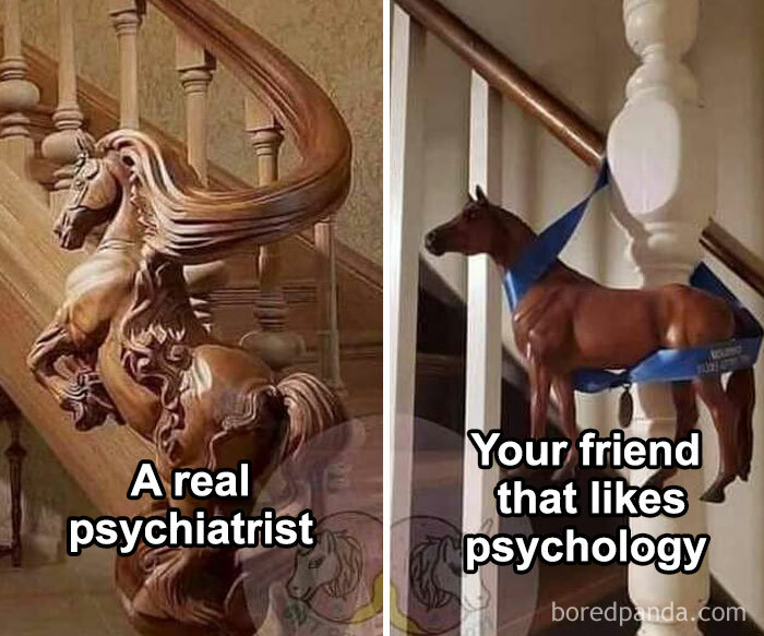 Wooden horse stair railing representing a real psychiatrist versus a toy horse hanger depicting a friend that likes psychology meme.