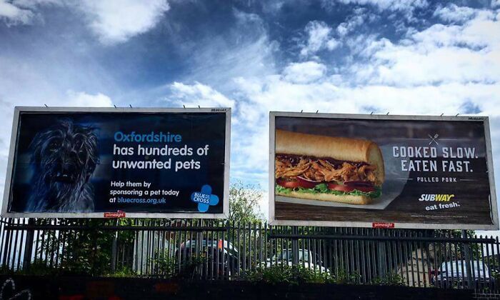 Two billboards side by side creating accidental comedy with contrasting messages about pets and pulled pork sandwich.