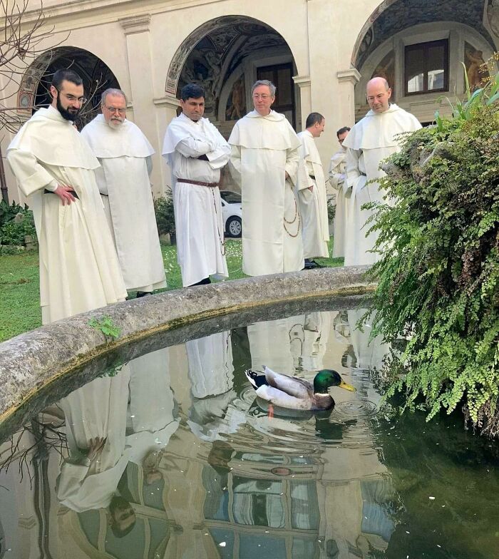 A group of men in white robes standing around a pond, observing a duck, capturing pleasures of the occult humor.
