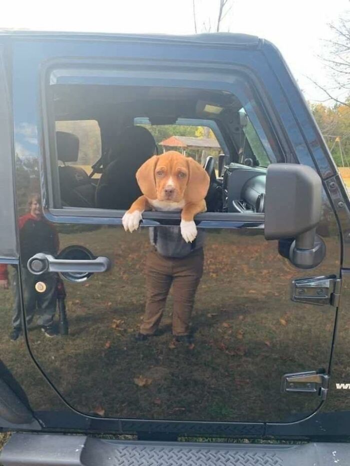 Dog head appearing out of context on a person's body through a car window, creating an amusing occult-themed illusion.