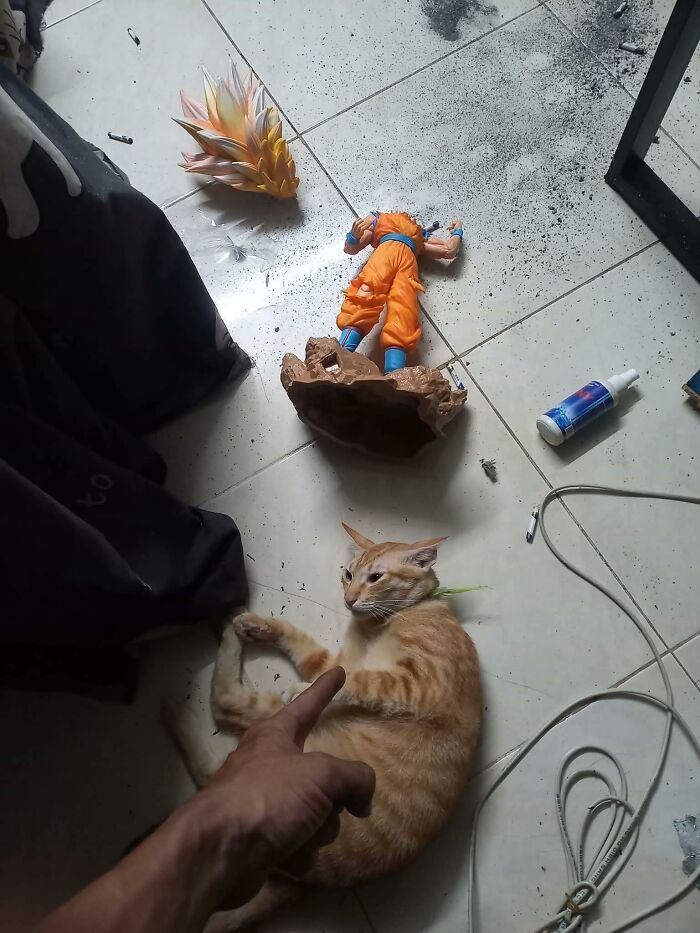 Cat lying on a tiled floor near a broken Dragon Ball action figure, surrounded by scattered debris and cords.