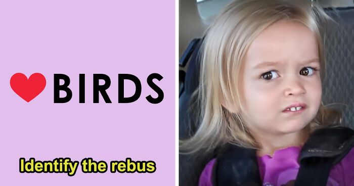 “Is Your IQ Higher Than Others?”: We’re Not Sure, But Acing This Rebus Quiz Might Prove It