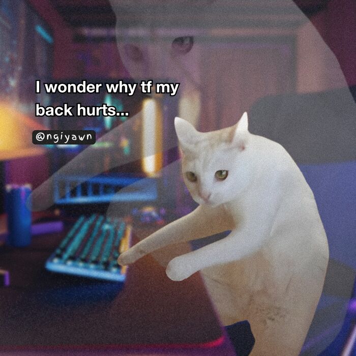 White cat stretching with text about back pain, a relatable cat meme reflecting humor and everyday struggles.