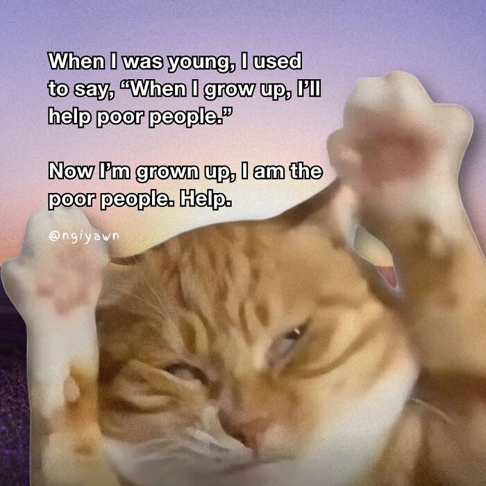 Orange cat with paws up, meme text about growing up poor, showing hilariously relatable cat meme humor.
