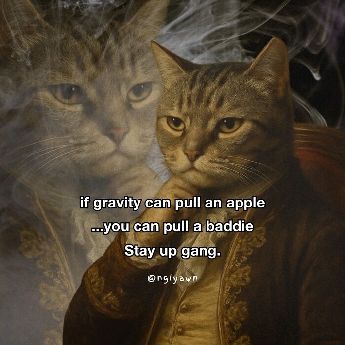 Cat meme with wise cat dressed in vintage clothes, humorously encouraging confidence and featuring relatable cat meme text.