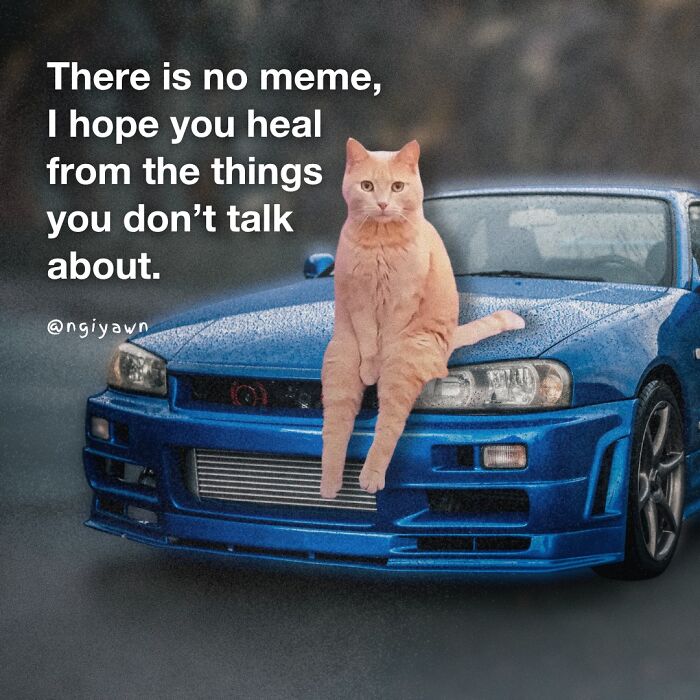 Orange cat sitting on a blue car with a heartfelt message in a relatable cat meme about healing and emotions.