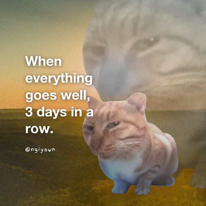 A relatable cat meme showing a content orange tabby cat with text about three days of good luck.
