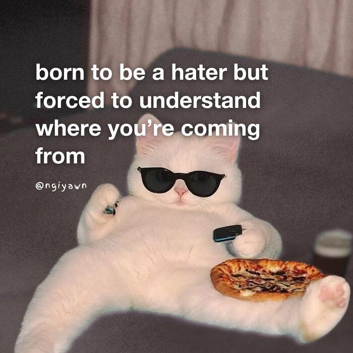 White cat wearing sunglasses, holding remote and pizza, illustrating relatable cat memes with humorous and laid-back vibe.