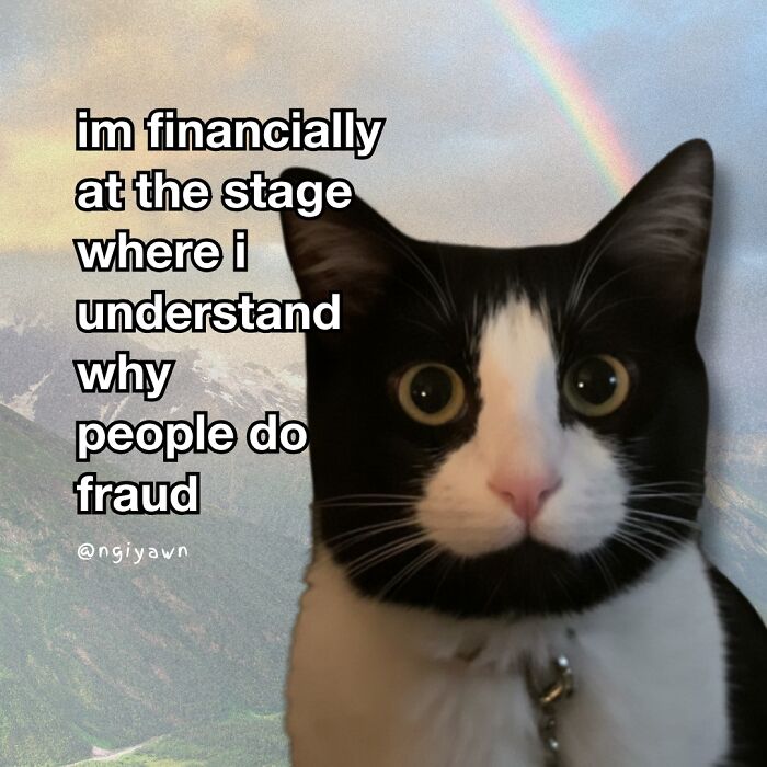 Black and white cat with wide eyes next to a humorous relatable cat meme about financial struggle and fraud.