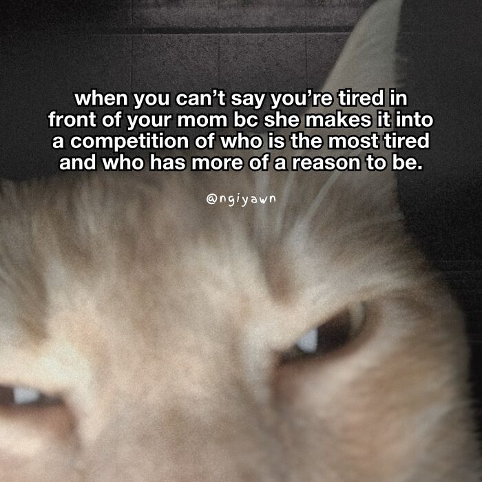 Close-up of a tired cat with a relatable meme about competing with mom over who is more tired, featuring cat memes humor.