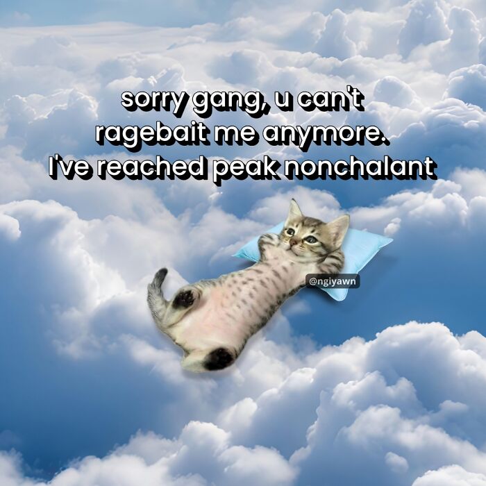 Cat meme of a relaxed kitten lying on a pillow among clouds with funny text about peak nonchalance.