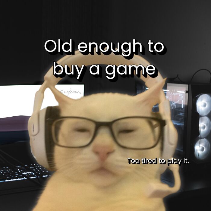 Cat meme showing a tired cat wearing glasses and a gaming headset with relatable text about games and fatigue.