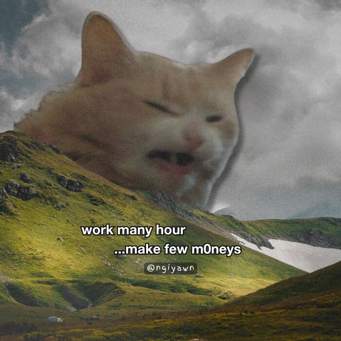 Giant cat face in cloudy sky over mountains with relatable cat meme about working many hours for little money.