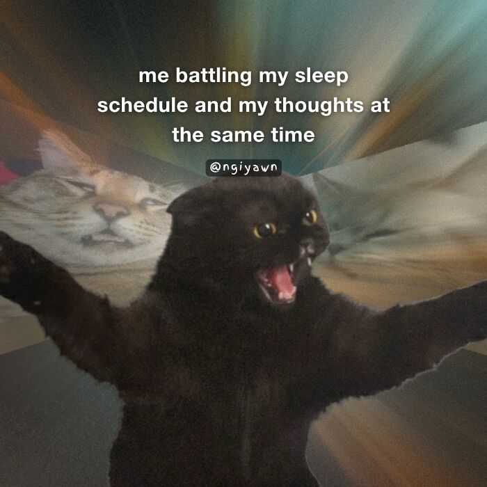 Black cat yelling with a blurred background cat, relatable cat memes about battling sleep schedule and thoughts.