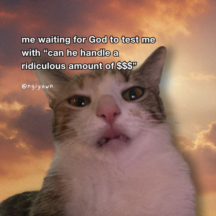 Cat meme with a funny relatable expression, capturing hilariously relatable cat memes humor and amusing therapy moments.