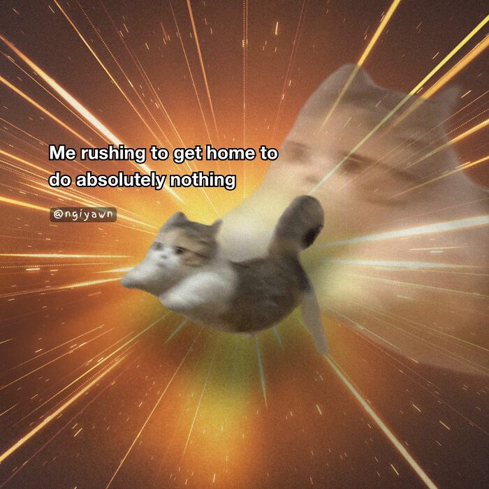 Blurred cat meme with text about rushing home to do nothing, illustrating relatable cat memes and humor.