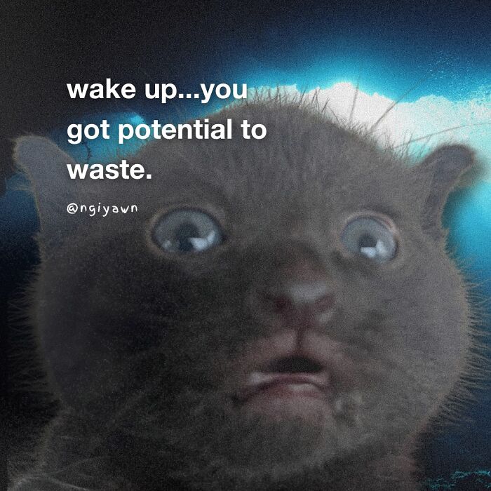 Close-up of a black cat with wide eyes and an open mouth, paired with a relatable cat meme about potential.