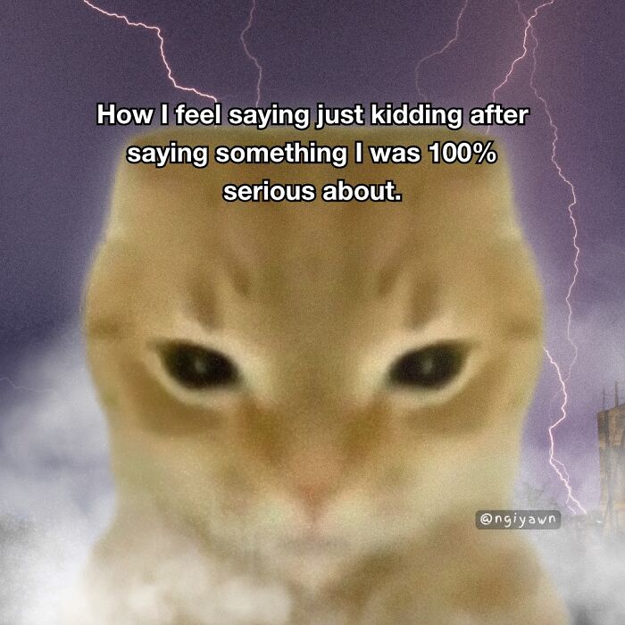 Close-up of a cat meme with lightning background illustrating relatable cat meme humor about saying just kidding after being serious.