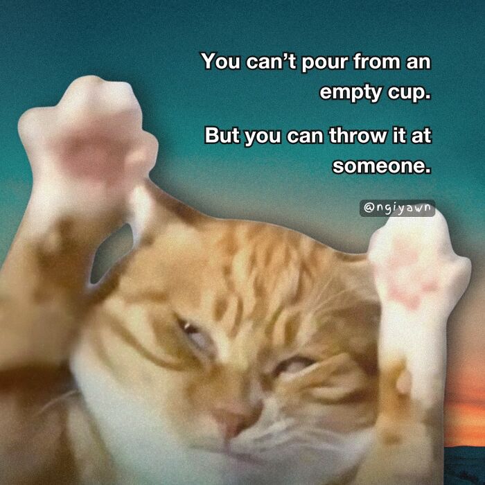 Orange cat with paws up and sarcastic text, a relatable cat meme showing humor and attitude for cat meme lovers.