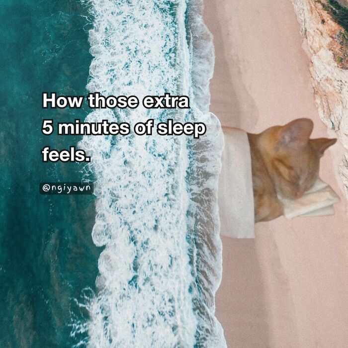 Sleeping cat tucked in bed next to ocean waves, illustrating relatable cat memes about extra minutes of sleep comfort.