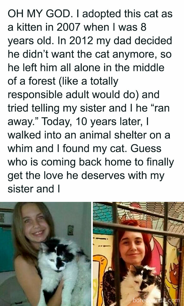 Happy reunion of a cat and owner showing a serotonin boost moment with a heartwarming animal shelter story.