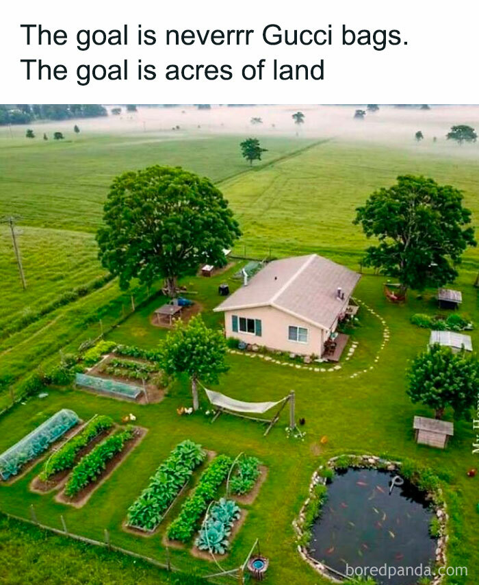 Aerial view of a peaceful home with garden beds, large trees, and a pond symbolizing daily serotonin boost with acres of land.