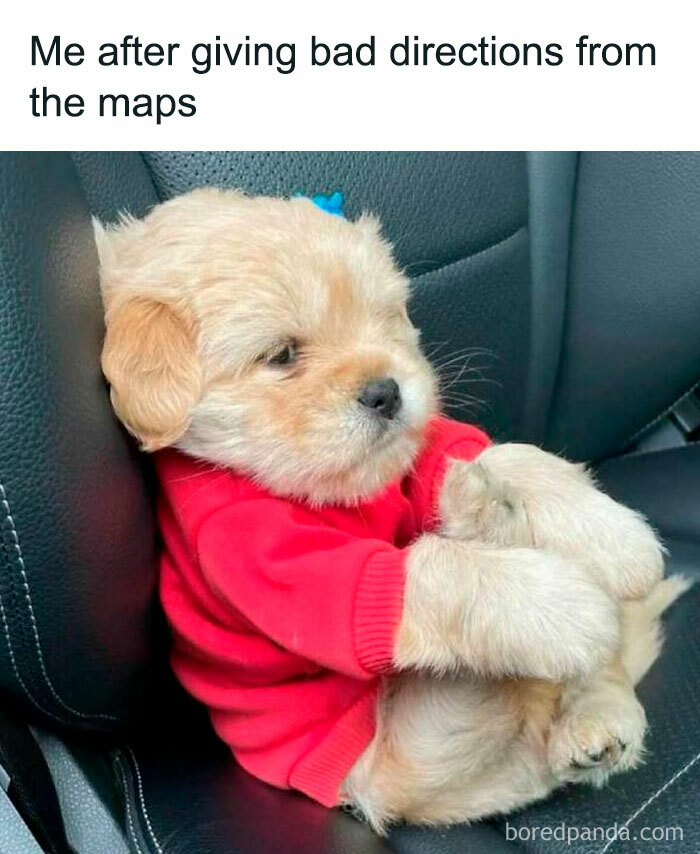 Relatable-Memes-Falling-In-Society