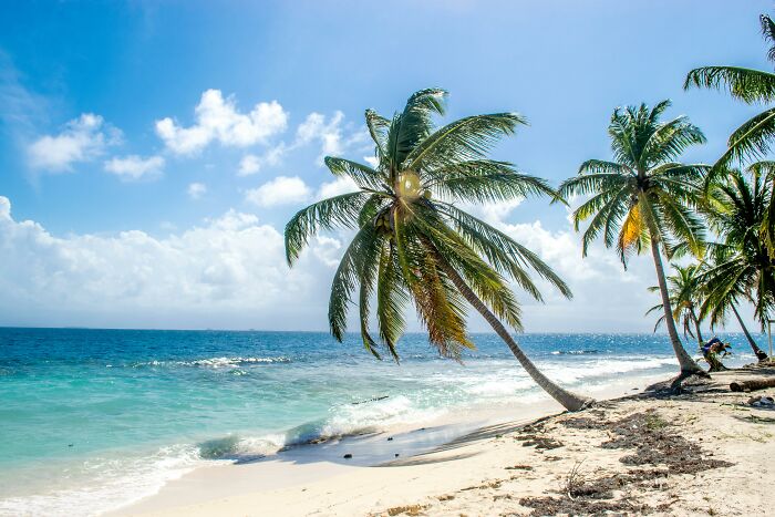 Tropical beach with palm trees under blue sky symbolizing choices between infinite luck or happiness scenarios.