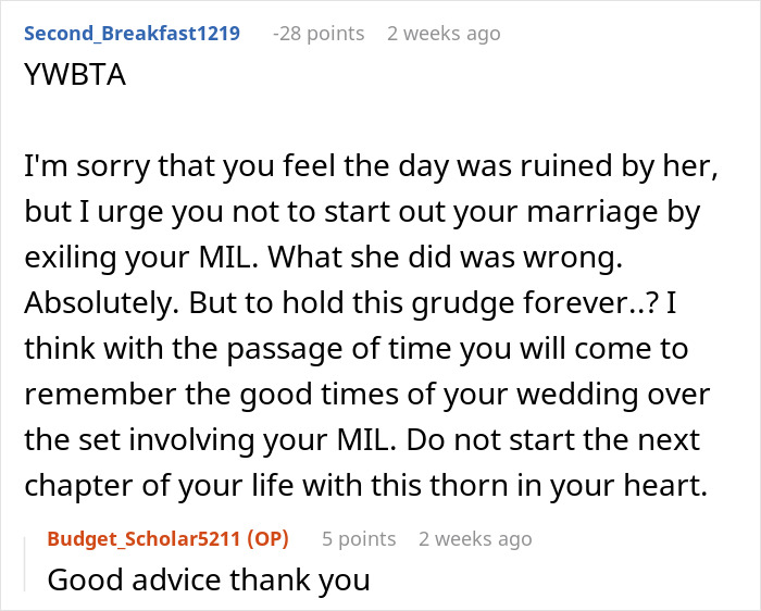 Reddit comment discussing bride wanting to cut MIL out after she selfishly ruins wedding day.