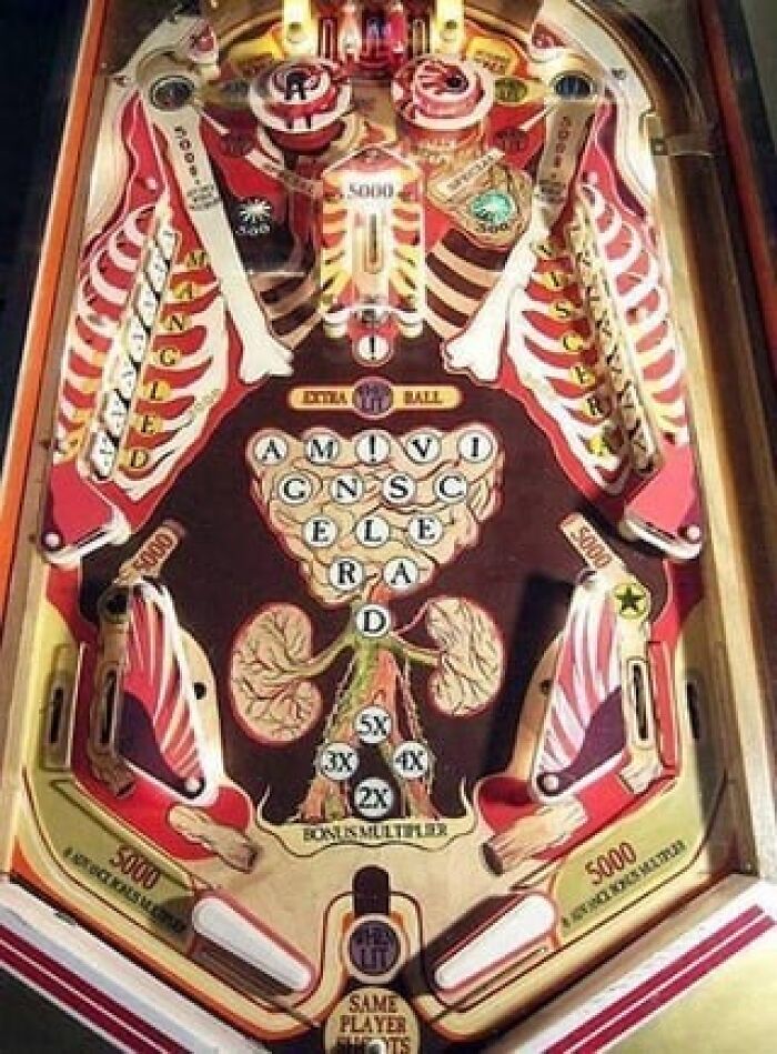 Máquina de pinball con diseño anatómico y elementos médicos, ilustrando publicaciones médicas extrañas y perturbadoras en línea.