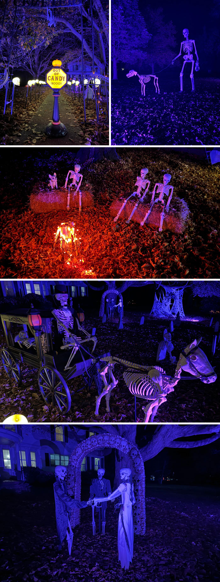 Outdoor Halloween decorations featuring skeletons, spooky lighting, and themed displays in a nighttime yard setting.