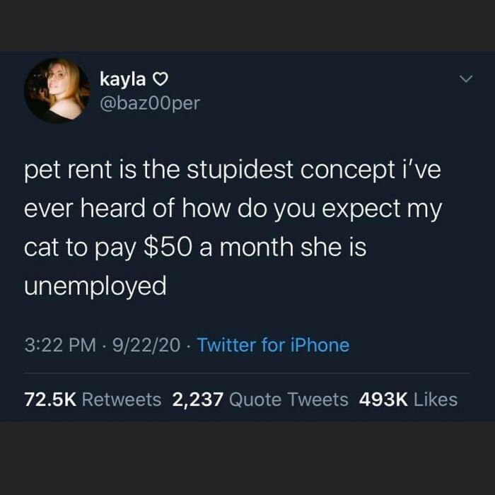 Tweet humor about pet rent being unfair and relatable, shared in popular girly memes about friendships and work topics.