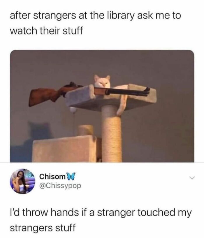 Cat lying on a perch holding a gun, humorously representing protective feelings in girly memes about friendships and relatable moments.
