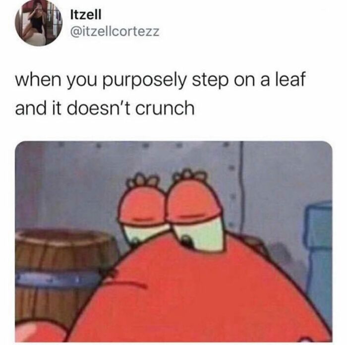 Social media meme about the relatable moment when you step on a leaf and it doesn’t crunch, featuring a cartoon crab.