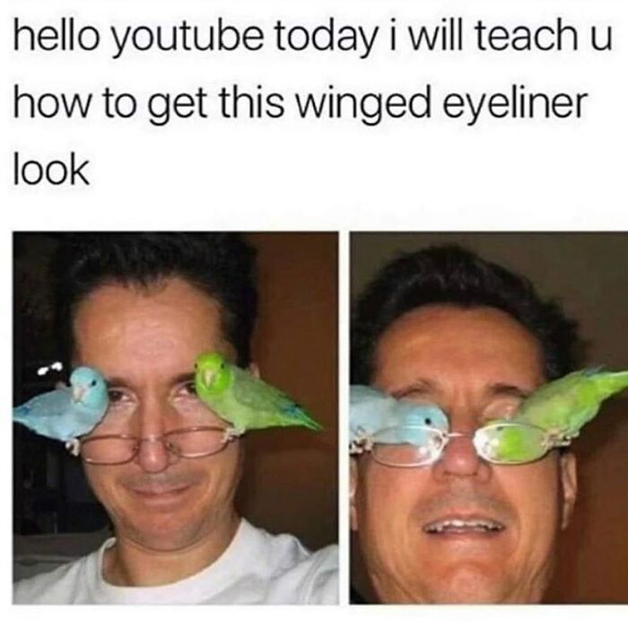 Man wearing glasses with two colorful birds perched on them, humorously mimicking winged eyeliner in a girly memes context.