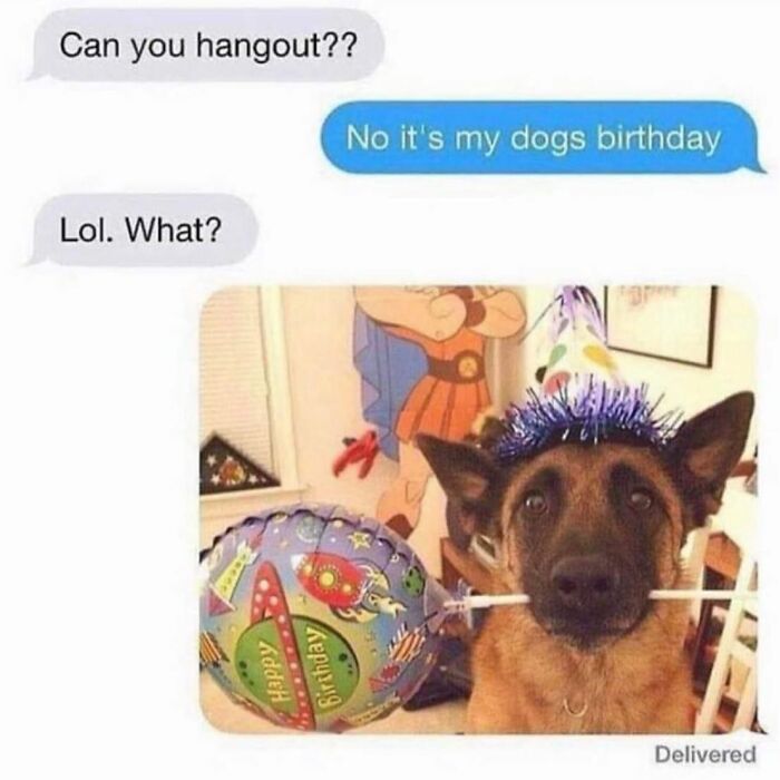 Text message conversation about hanging out, with a girly meme showing a dog celebrating a birthday party.