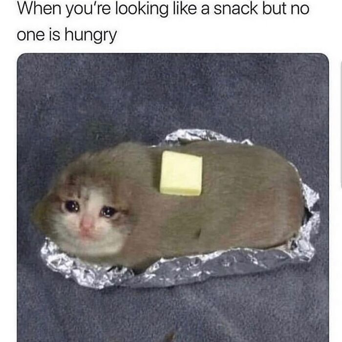 Sad cat edited to look like a baked potato with butter, illustrating a girly meme about friendships and relatable feelings.