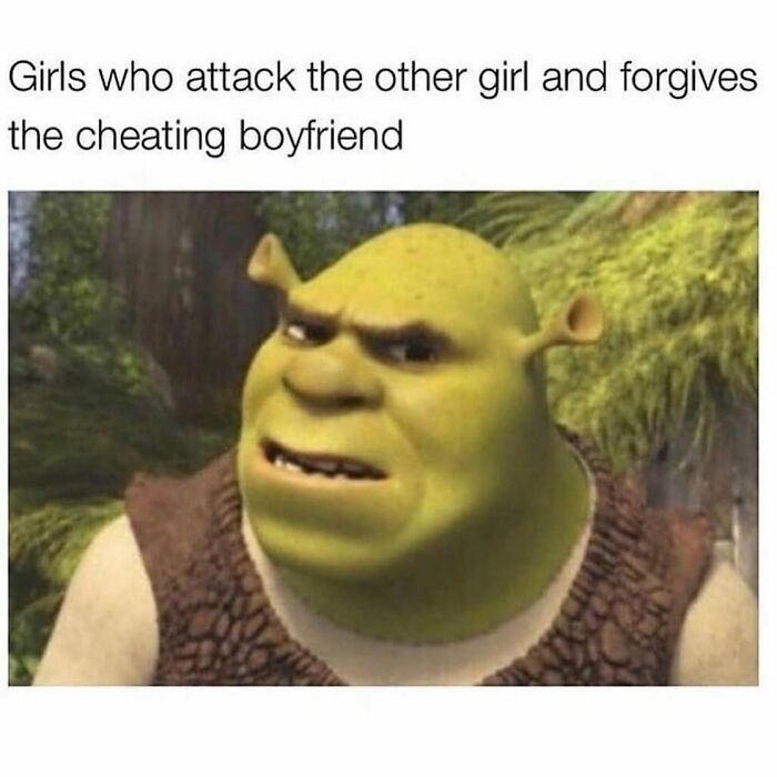 Meme featuring Shrek with text about girls attacking others but forgiving a cheating boyfriend, relatable girly friendships humor.