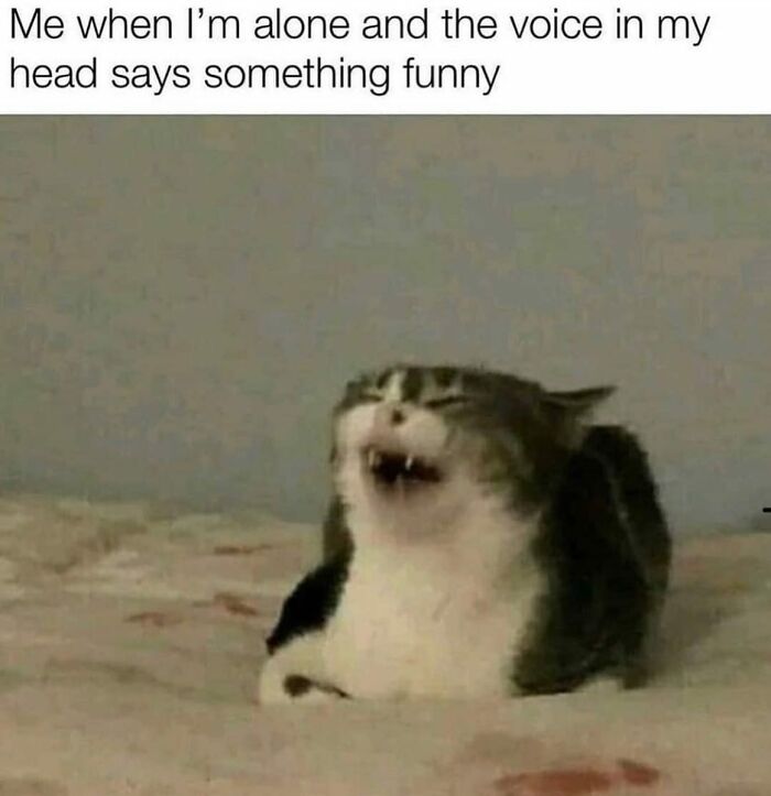 Funny cat meme showing a laughing cat with text about being alone and hearing a funny voice in the head, relatable girly memes.