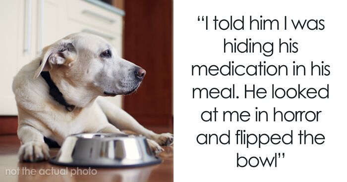50 Stories About The Most Intelligent Pets People Have Ever Had