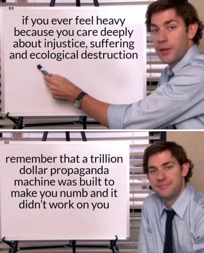 Man holding marker next to whiteboards with text on injustice, ecological destruction, and dystopic society propaganda.